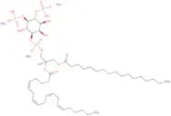 17:0-20:4 Pi (4,5) P2