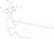 17:0-20:4 Pi (3,4,5) P3