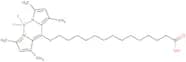 Bodipy-palmitate
