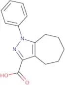 1-Phenyl-1H,4H,5H,6H,7H,8H-cyclohepta[C]pyrazole-3-carboxylic acid