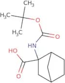 Boc-2-aminobicyclo[2.2.1]heptane-2-carboxylicacid