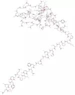 Hirudin from leeches