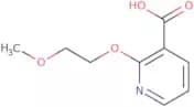 2-(2-Methoxyethoxy)pyridine-3-carboxylic acid