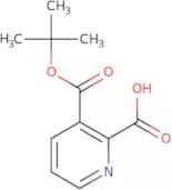 3-[(tert-Butoxy)carbonyl]pyridine-2-carboxylic acid