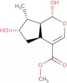 Loganetin - Menyanthes trifoliata (bogbean)