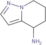 4H,5H,6H,7H-Pyrazolo[1,5-a]pyridin-4-amine