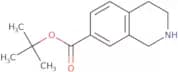 tert-Butyl 1,2,3,4-tetrahydroisoquinoline-7-carboxylate
