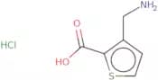 3-(Aminomethyl)thiophene-2-carboxylic acid hydrochloride