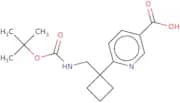 6-[1-({[(tert-Butoxy)carbonyl]amino}methyl)cyclobutyl]pyridine-3-carboxylic acid