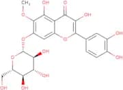 Patuletin-7-O-glucoside