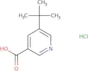 5-tert-Butylpyridine-3-carboxylic acid hydrochloride