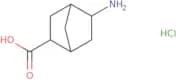 rac-(1R,2R,4R,5R)-5-Aminobicyclo[2.2.1]heptane-2-carboxylic acid hydrochloride