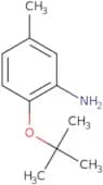 2-(tert-Butoxy)-5-methylaniline