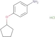 4-(Cyclopentyloxy)aniline hydrochloride