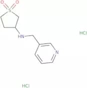 3-{[(Pyridin-3-yl)methyl]amino}-1lambda6-thiolane-1,1-dione dihydrochloride