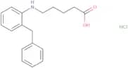 5-[(2-Benzylphenyl)amino]pentanoic acid hydrochloride