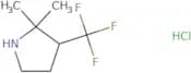 2,2-Dimethyl-3-(trifluoromethyl)pyrrolidine hydrochloride