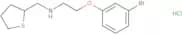 [2-(3-Bromophenoxy)ethyl](thiolan-2-ylmethyl)amine hydrochloride