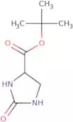 tert-Butyl 2-oxoimidazolidine-4-carboxylate