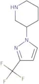 3-[3-(Trifluoromethyl)-1H-pyrazol-1-yl]piperidine