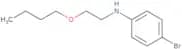 4-Bromo-N-(2-butoxyethyl)aniline