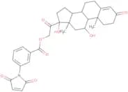 Cortisol 21-M-maleimidobenzoate