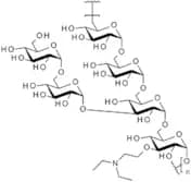 Diethylaminoethyl-dextran