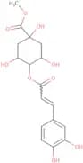 Methyl 4-caffeoylquinate