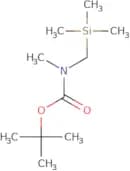 tert-Butyl N-methyl-N-[(trimethylsilyl)methyl]carbamate