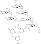 Fluorescein isothiocyanate-dextran - Average MW 20,000