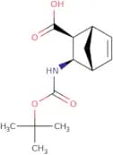 diexo-3-tert-Butoxycarbonylamino-bicyclo[2.2.1]hept-5-ene-2-carboxylic acid