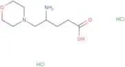 4-Amino-5-(morpholin-4-yl)pentanoic acid dihydrochloride