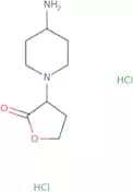 3-(4-Aminopiperidin-1-yl)oxolan-2-one dihydrochloride
