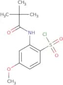 2-(2,2-Dimethylpropanamido)-4-methoxybenzene-1-sulfonyl chloride