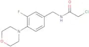 2-Chloro-N-{[3-fluoro-4-(morpholin-4-yl)phenyl]methyl}acetamide