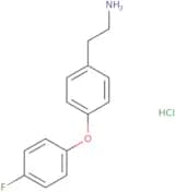 2-[4-(4-Fluorophenoxy)phenyl]ethan-1-amine hydrochloride