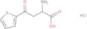 2-Amino-4-oxo-4-(thiophen-2-yl)butanoic acid hydrochloride