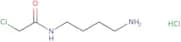 N-(4-Aminobutyl)-2-chloroacetamide hydrochloride