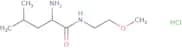 (2S)-2-Amino-N-(2-methoxyethyl)-4-methylpentanamide hydrochloride