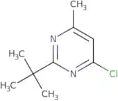 2-tert-Butyl-4-chloro-6-methylpyrimidine