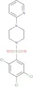 2,4,5-trichloro-1-((4-(2-pyridyl)piperazinyl)sulfonyl)benzene