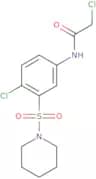 2-Chloro-N-[4-chloro-3-(piperidine-1-sulfonyl)phenyl]acetamide