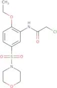 2-Chloro-N-[2-ethoxy-5-(morpholine-4-sulfonyl)phenyl]acetamide