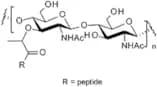 Peptidoglycan - from Staphylococcus aureus
