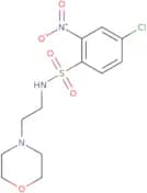 4-chloro-N-[2-(morpholin-4-yl)ethyl]-2-nitrobenzene-1-sulfonamide
