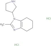 2-Methyl-1-(pyrrolidin-3-yl)-4,5,6,7-tetrahydro-1H-1,3-benzodiazole dihydrochloride