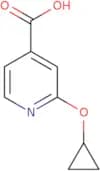 2-Cyclopropoxypyridine-4-carboxylic acid