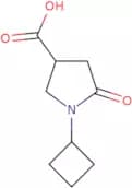 1-Cyclobutyl-5-oxopyrrolidine-3-carboxylic acid