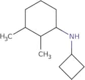N-Cyclobutyl-2,3-dimethylcyclohexan-1-amine