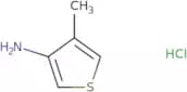 4-methylthiophen-3-amine hydrochloride